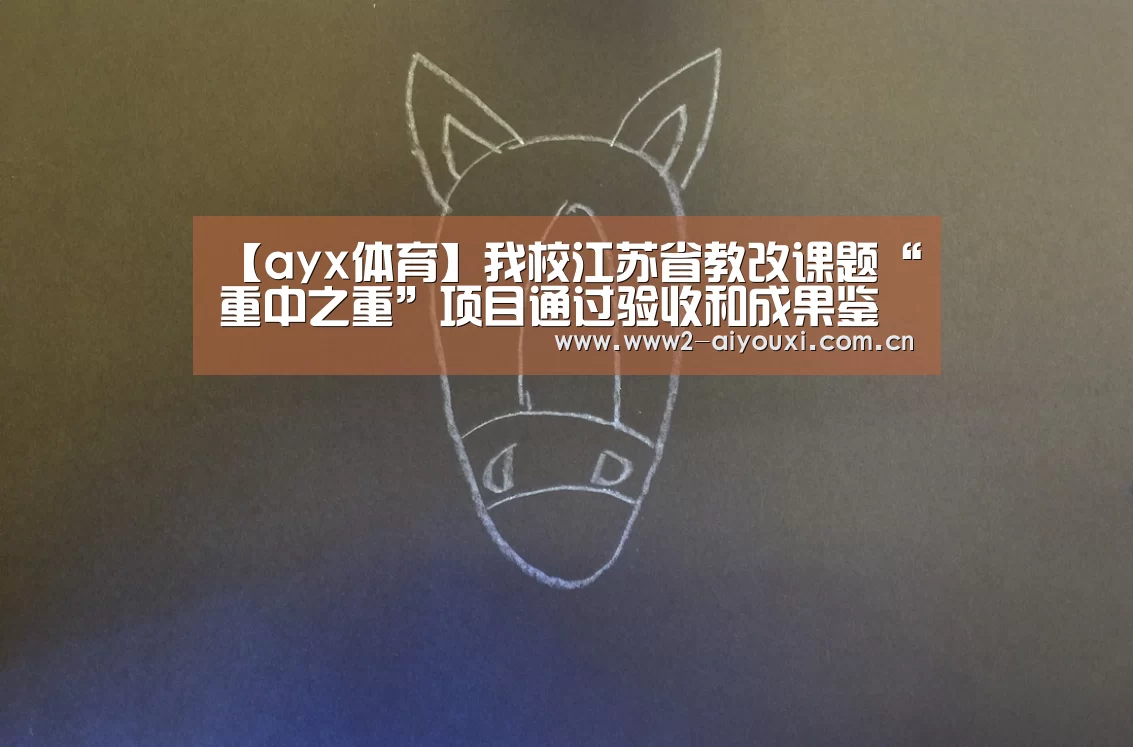 【ayx体育】我校江苏省教改课题“重中之重”项目通过验收和成果鉴定(图3) 爱游戏官网
