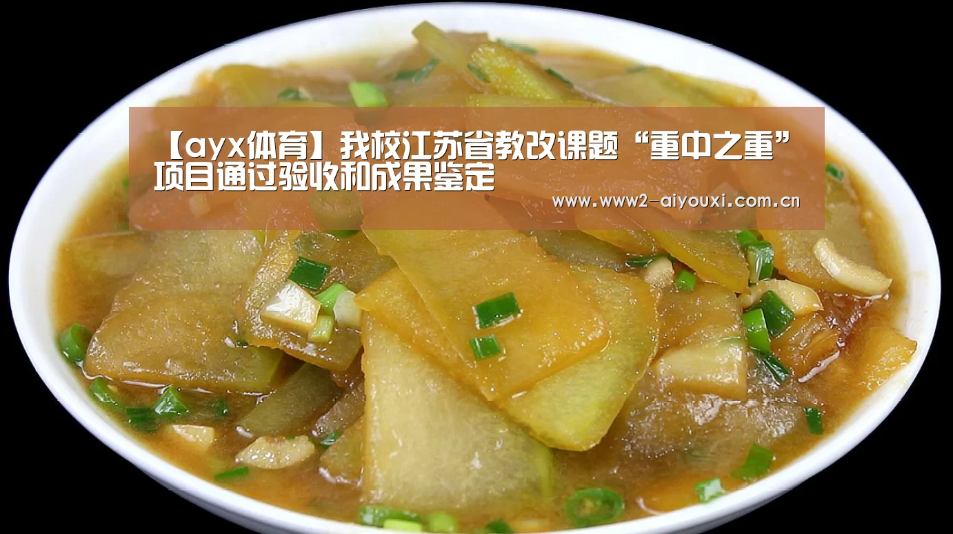 【ayx体育】我校江苏省教改课题“重中之重”项目通过验收和成果鉴定(图1) 爱游戏下载