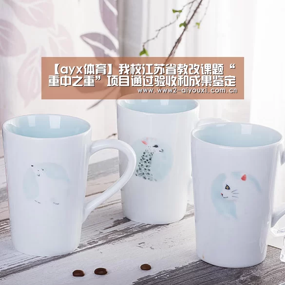 【ayx体育】我校江苏省教改课题“重中之重”项目通过验收和成果鉴定(图2) ayx体育